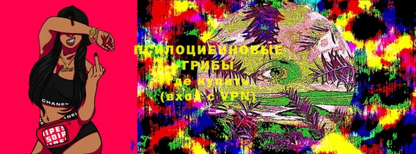 apvp Михайлов