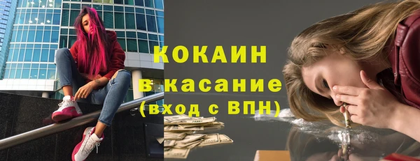 apvp Михайлов